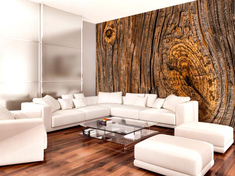 Wall Mural Old tree - brown background with texture of rough bark with irregularities