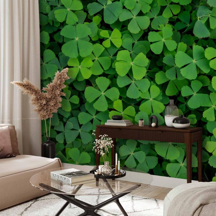 Wall Mural Nature - plant motif with shamrocks for luck