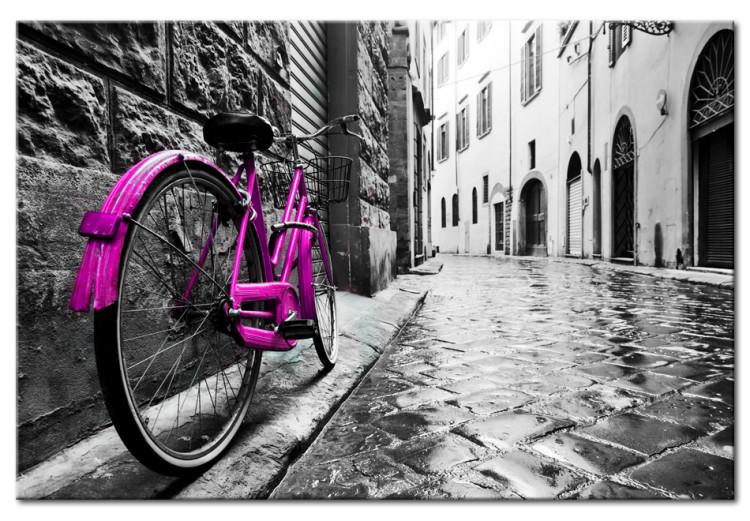 Canvas Print Vintage Pink Bike