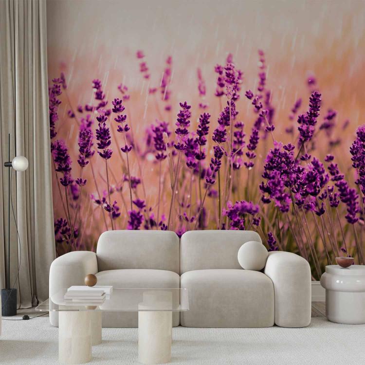 Wall Mural Lavender in the rain - landscape of a meadow with purple flowers and a blurred background