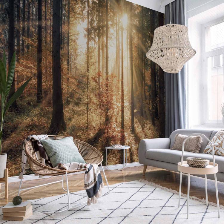 Wall Mural Autumnal Forest