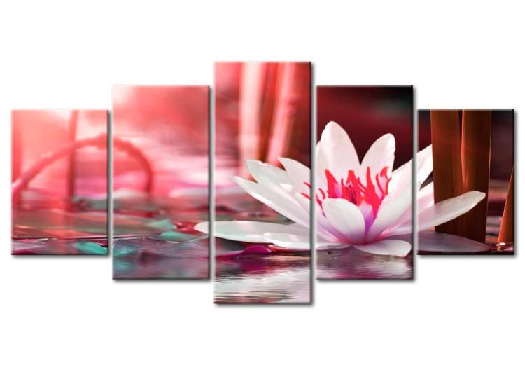 Canvas Print Amaranth Lotus (5-piece) - Pink Flower on a Surface of Red Water