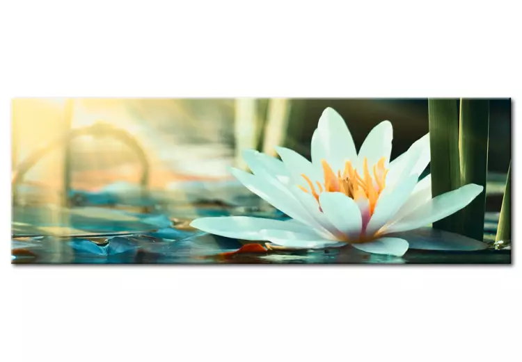 Canvas Print The Lake of Lotus