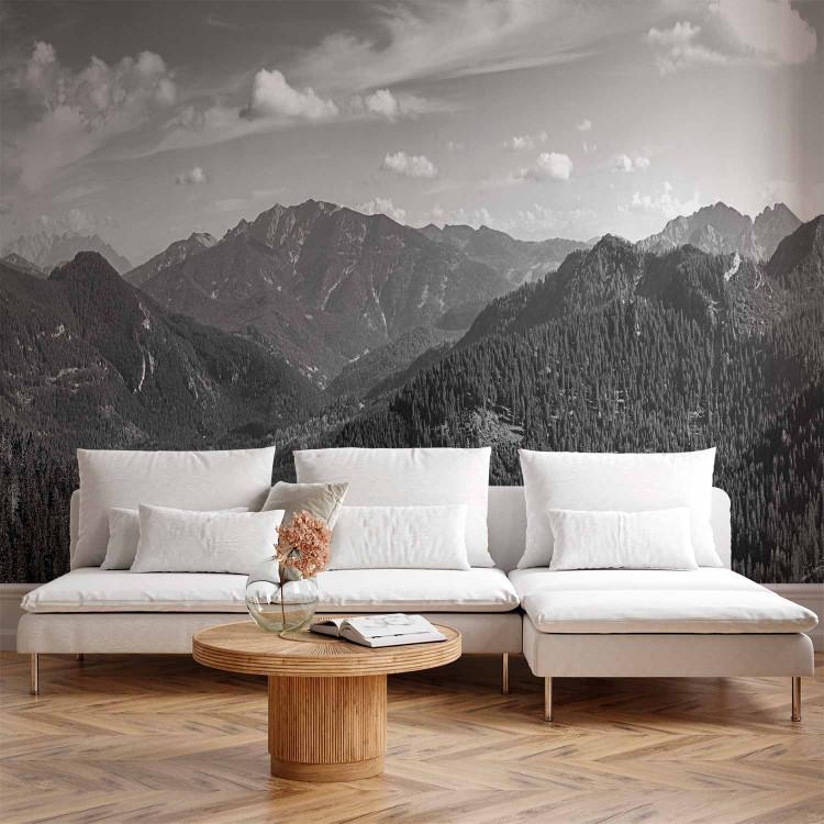 Wall Mural Grey Mountains