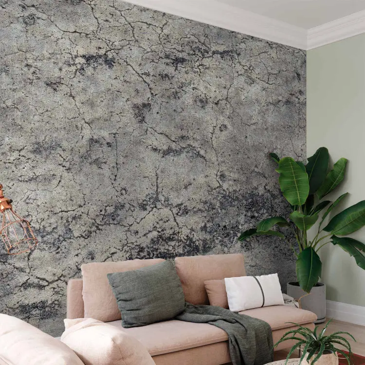 Grey lady - minimalist background with concrete texture with cracks