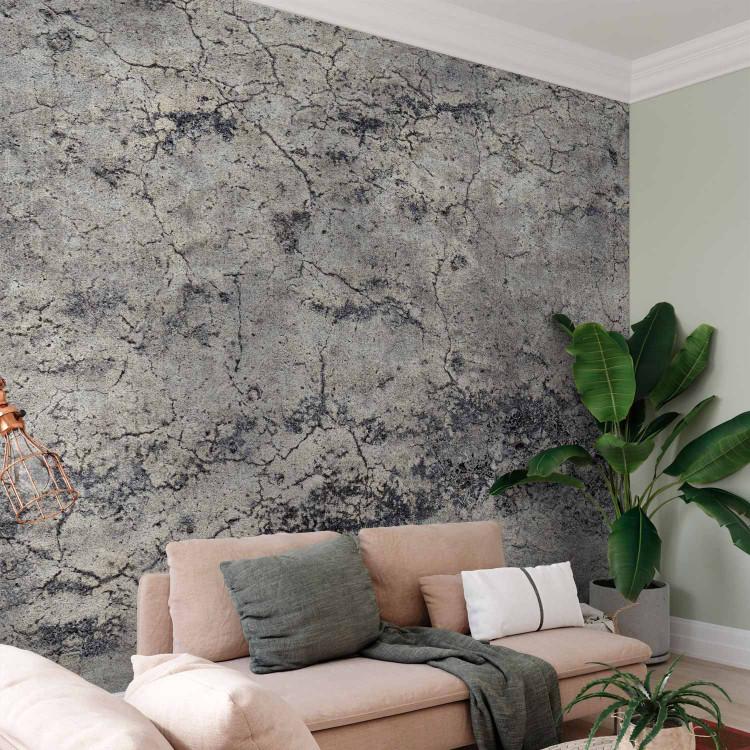 Wall Mural Grey lady - minimalist background with concrete texture with cracks