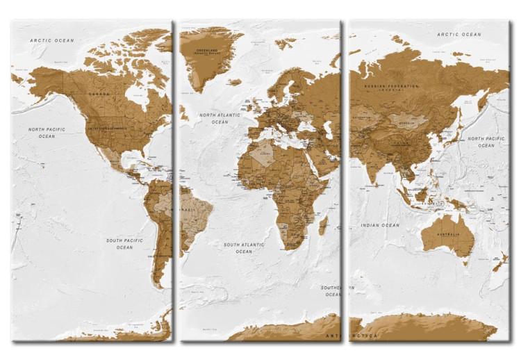 Canvas Print World Map: White Poetry (3-part) - brown continents on white