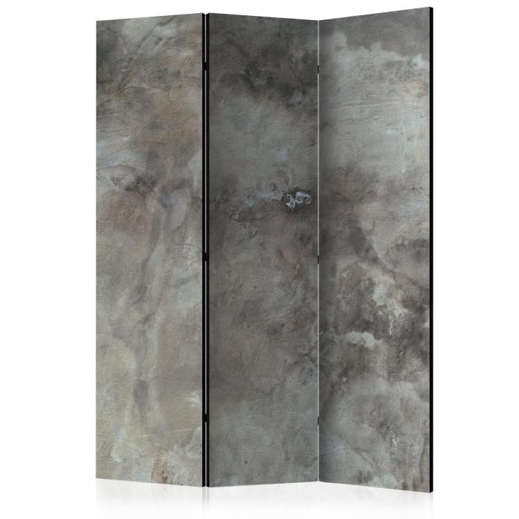 Room Divider Hail Cloud - gray texture in dark urban concrete shade