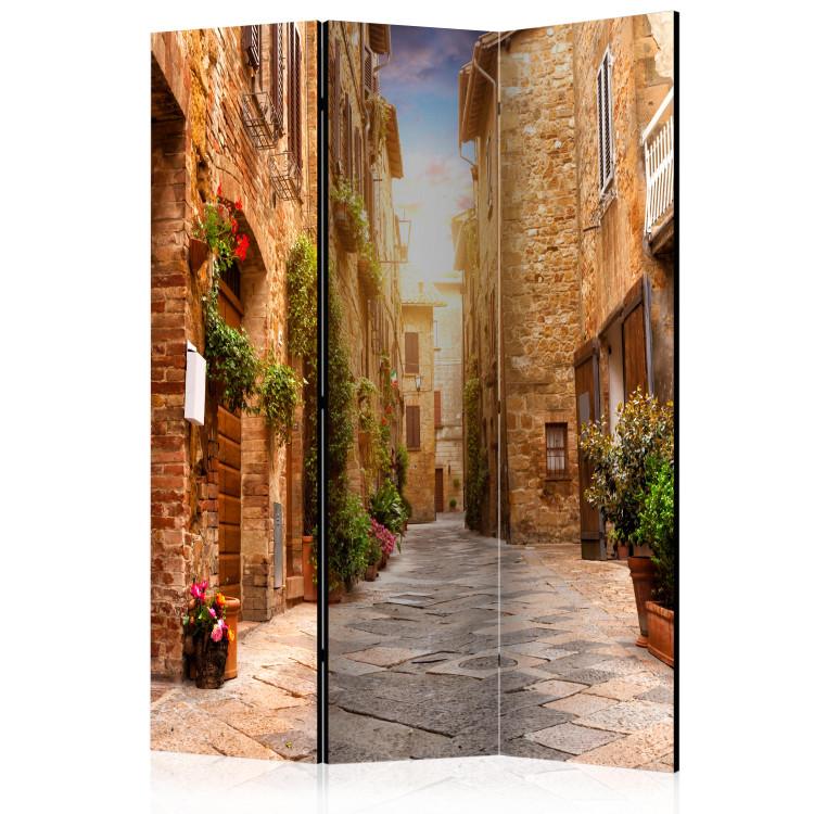 Room Divider Colorful Alley in Tuscany - brick architecture of an Italian town