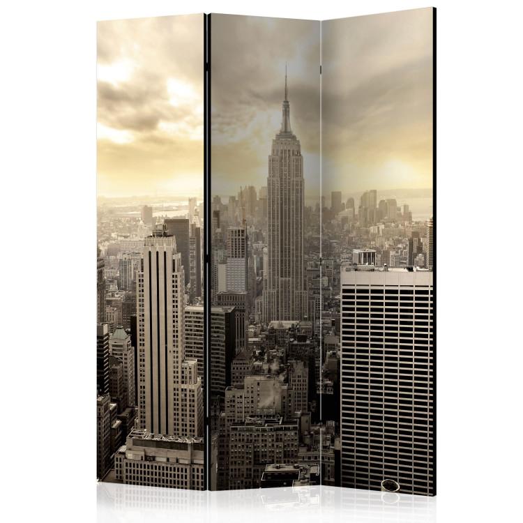 Room Divider Light of New York - city architecture with a panorama of skyscrapers