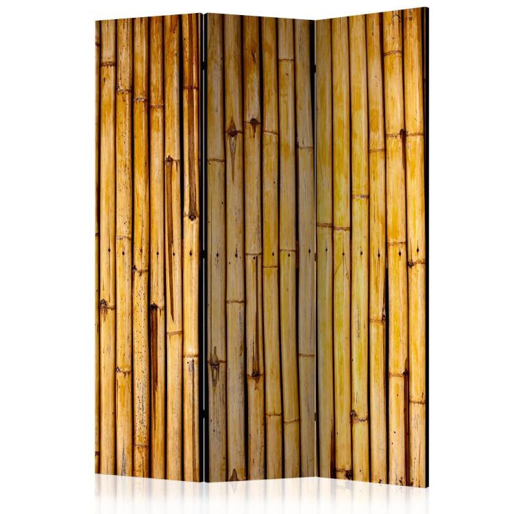 Room Divider Bamboo Garden - wooden texture with bamboo in oriental style