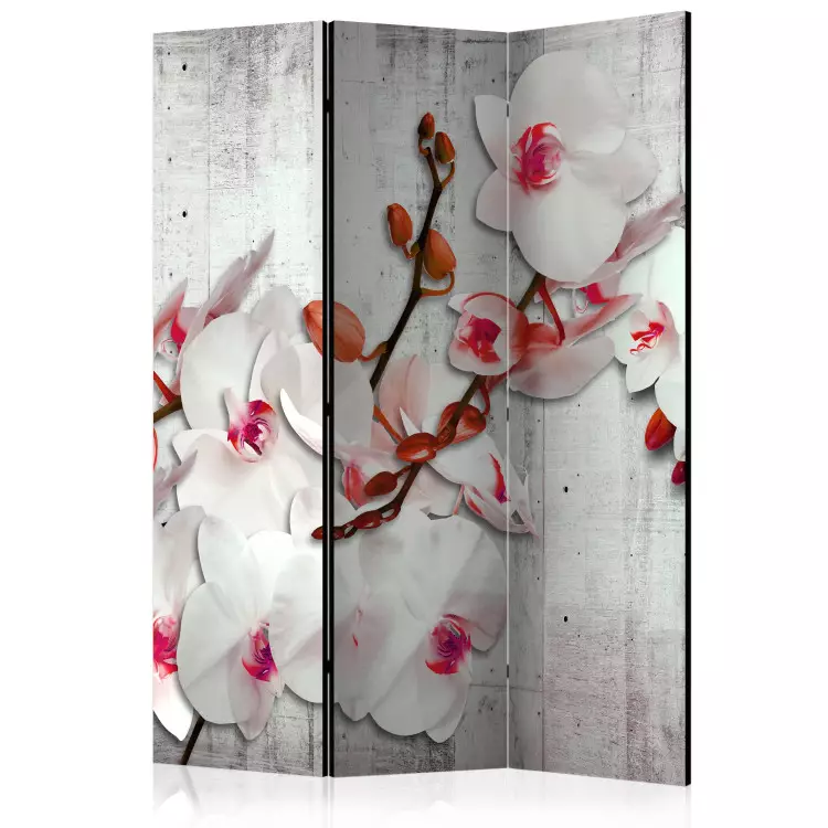 Room Divider Concrete Orchid - white orchid flower on a concrete texture background