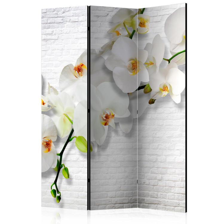 Room Divider Urban Orchid - white orchid flowers on a brick texture background