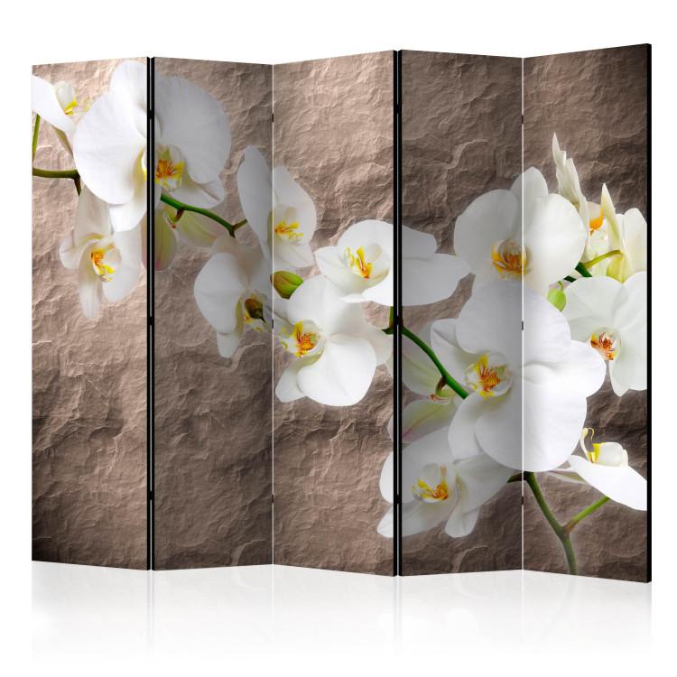 Room Divider Orchid Immaculateness II - flower on a brown stone texture background