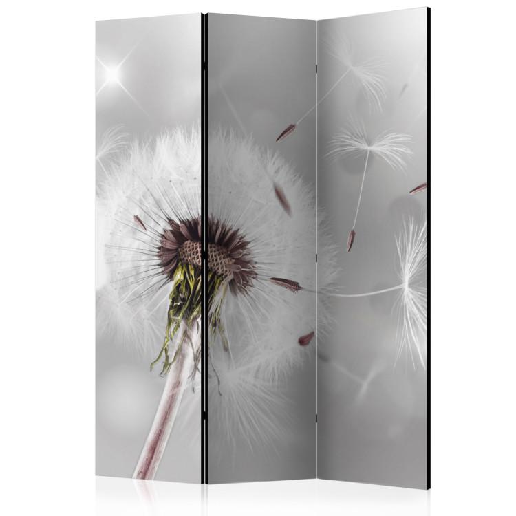 Room Divider Capturing the Transient - romantic dandelion flower on a gray background