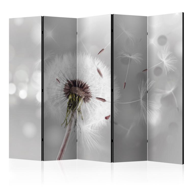 Room Divider Capturing the Transient II - romantic dandelion flower on a gray background