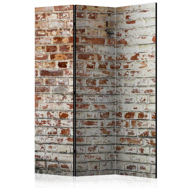 Room Divider Walls of Memory - urban texture of orange brick architecture