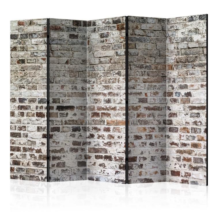 Room Divider Old Walls II - urban texture of brick wall with concrete elements