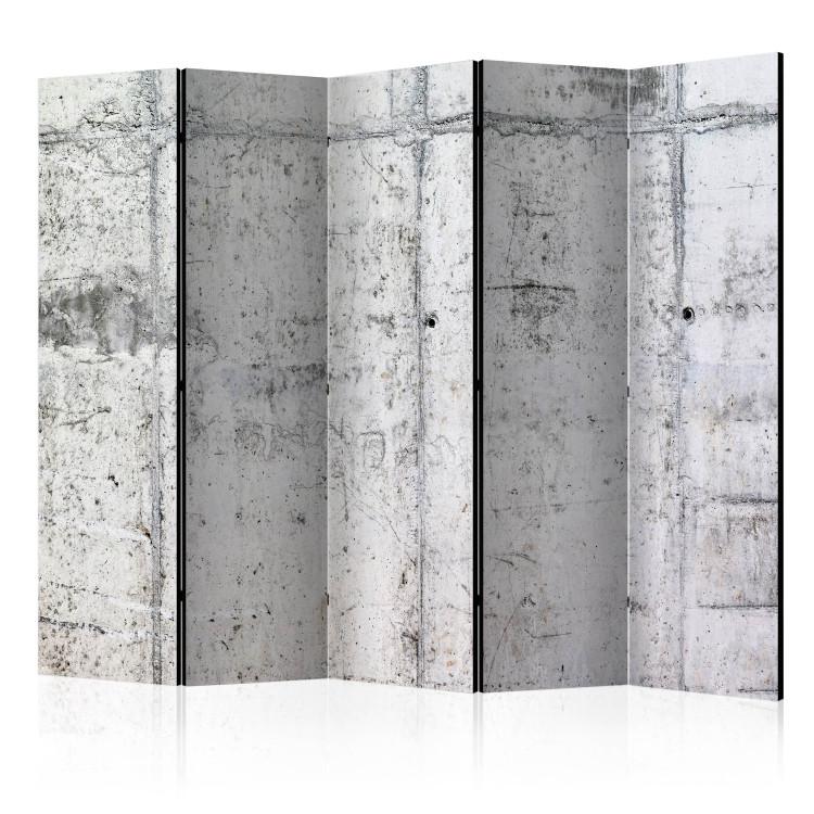 Room Divider Concrete Wall II - urban texture of light gray concrete