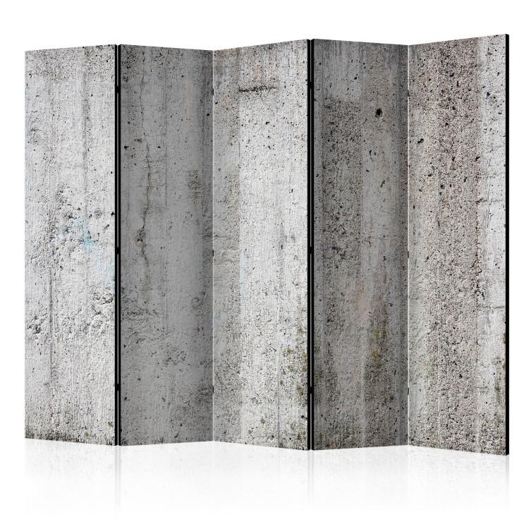 Room Divider Gray Emperor II - urban concrete texture in light gray color