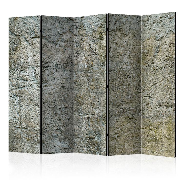 Room Divider Stone Barrier II - texture of gray stone in urban motif