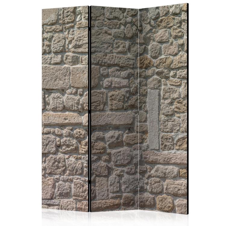 Room Divider Stone Temple - beige texture of urban wall architecture
