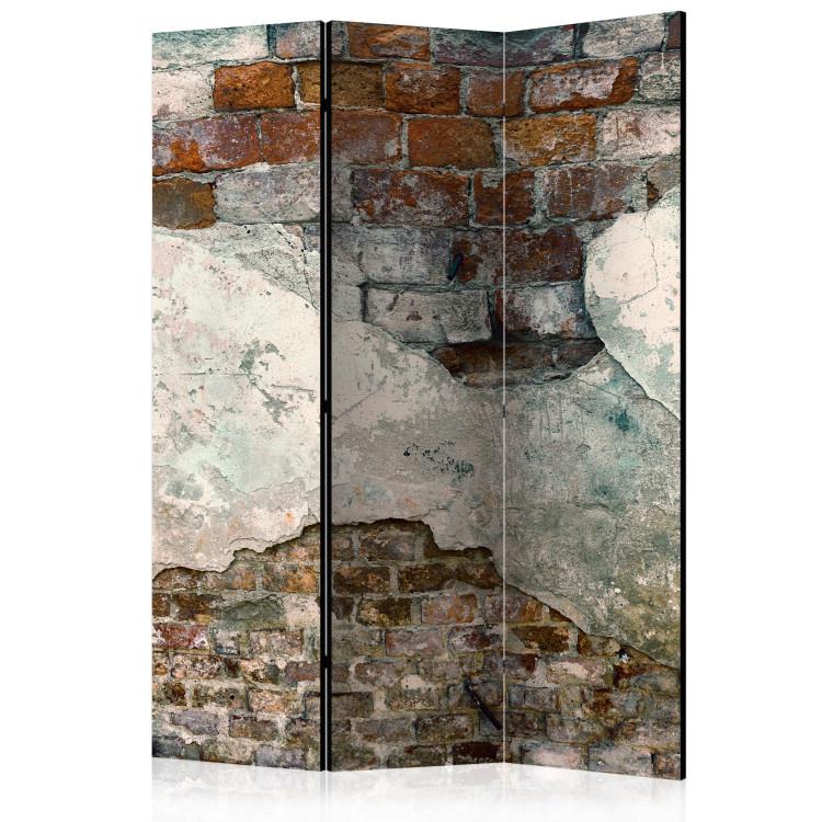 Room Divider Crumbled Walls - architectural texture of urban brick and concrete