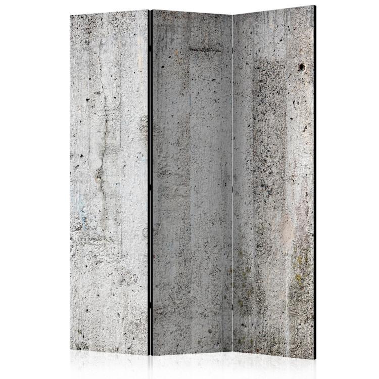Room Divider Gray Emperor - architectural texture in the color of gray concrete