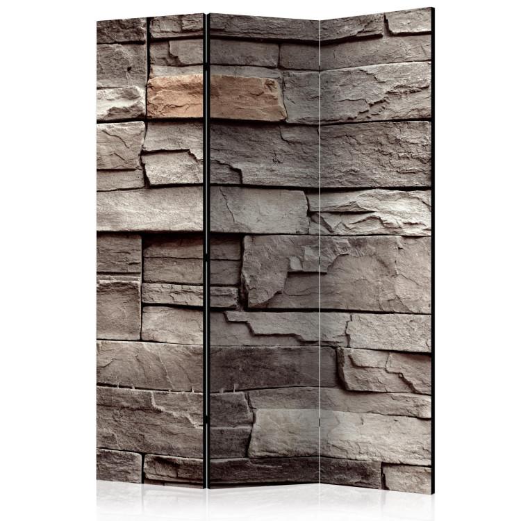 Room Divider Wall of Silence - architectural brown texture of stone bricks