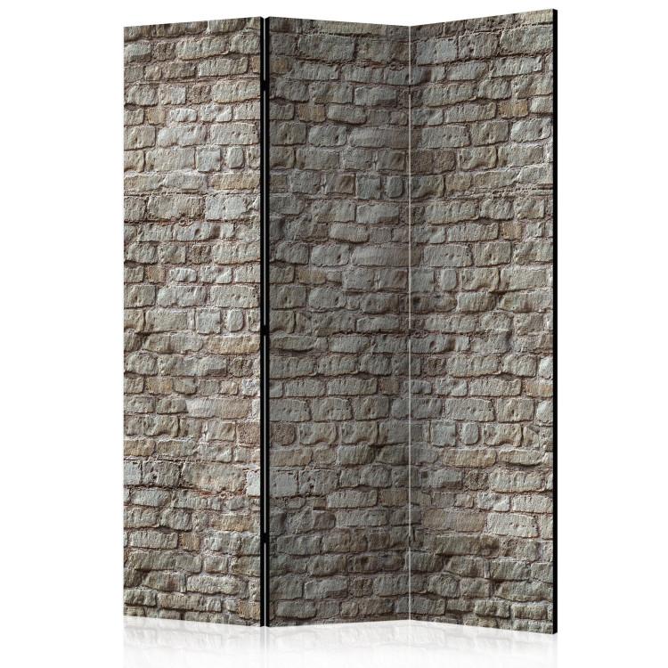Room Divider Reality - architectural texture of brick with urban motif