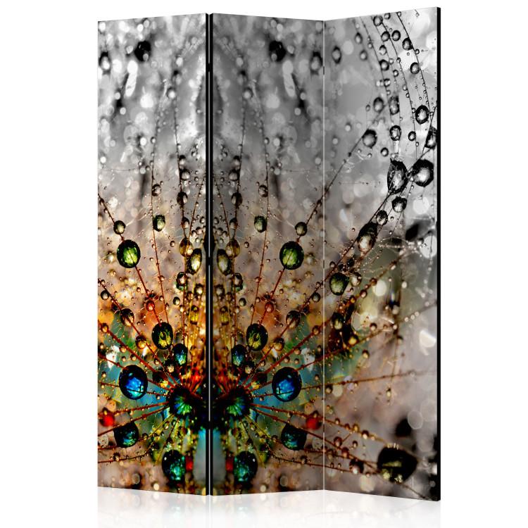 Room Divider Enchanted Dew - abstract dandelion with colorful water droplets