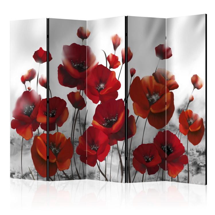 Room Divider Poppies in Moonlight II - red poppy flowers on a gray background