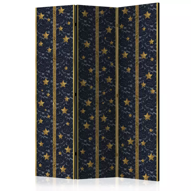 Room Divider Lacy Constellation - golden stars on black luxury fabric