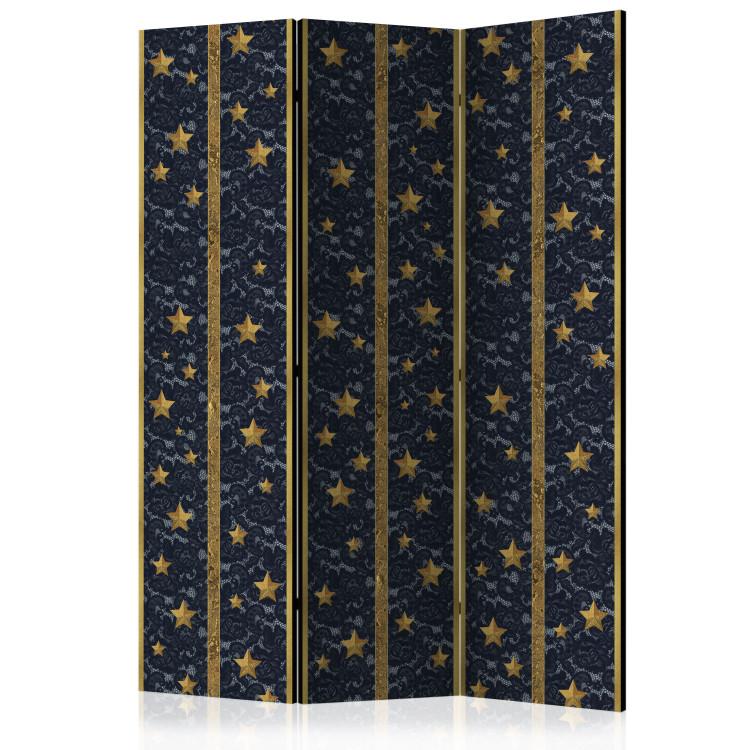 Room Divider Lacy Constellation - golden stars on black luxury fabric