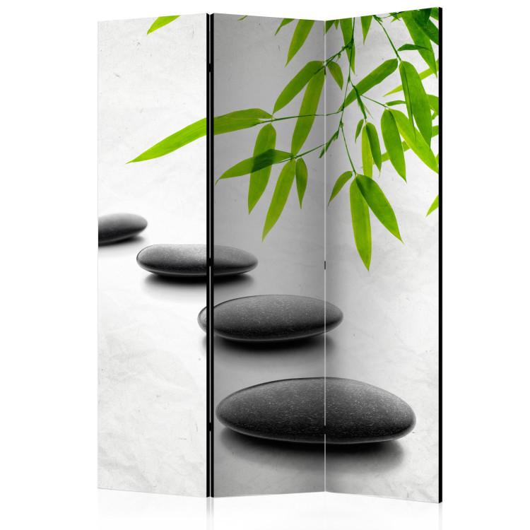 Room Divider Zen Stones - black pebbles and bamboo leaves in an oriental motif
