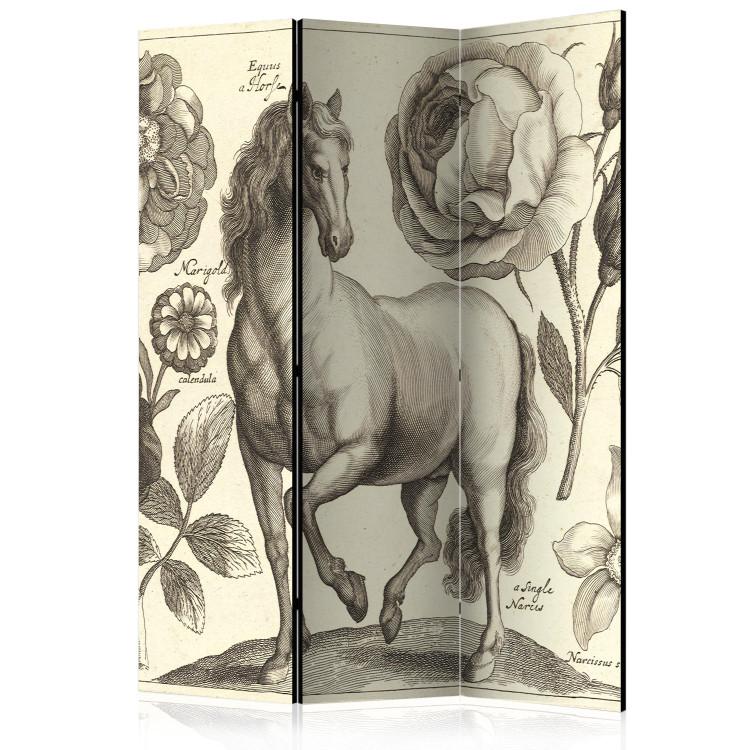 Room Divider Horse - romantic animal with flowers on a light background in retro motif