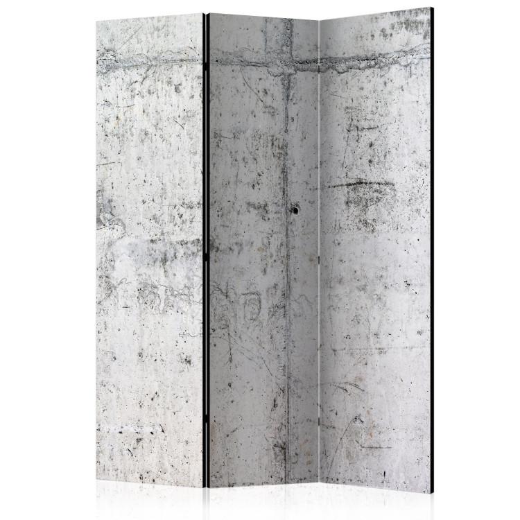 Room Divider Concrete Wall - architectural texture of urban gray concrete