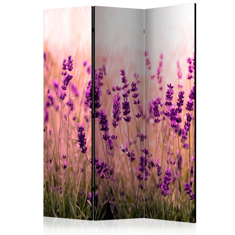 Room Divider Lavender in the Rain - romantic lavender flowers in a meadow