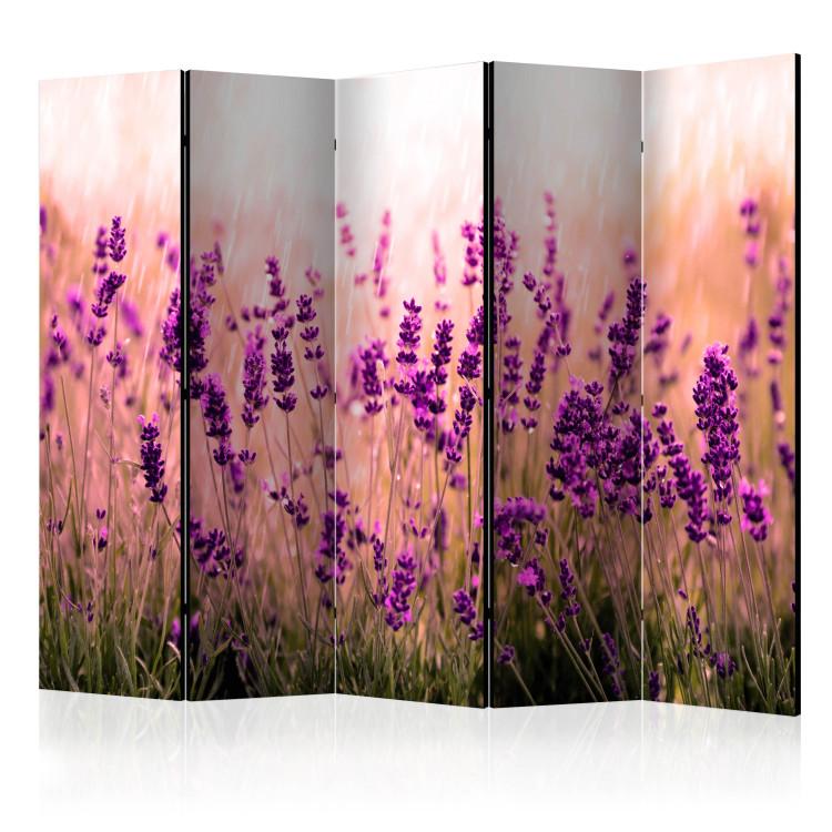 Room Divider Lavender in the Rain II - romantic lavender flowers in a sunny meadow