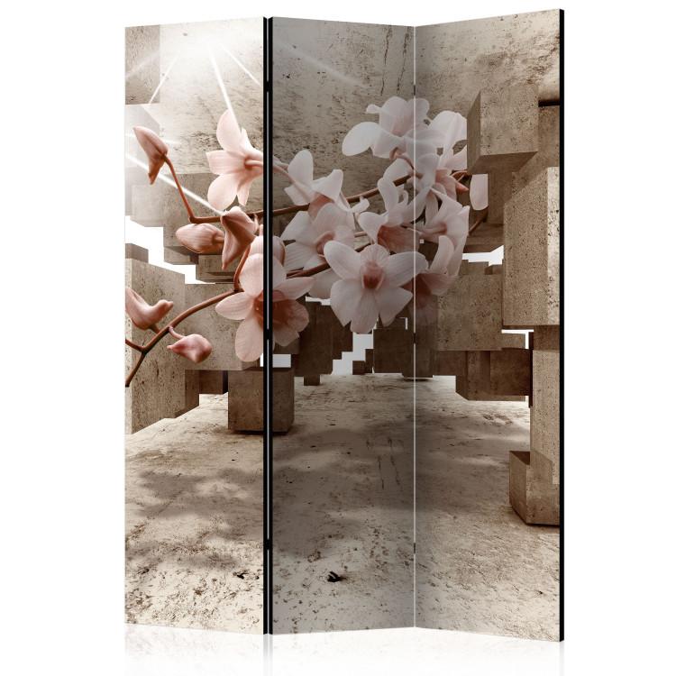 Room Divider Small Wonders - orchid flowers on an abstract background of concrete figures