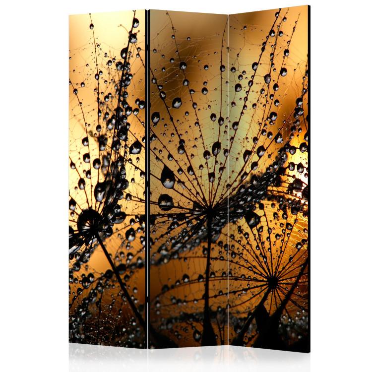 Room Divider Dandelions in the Rain - flowers with water droplets on an orange background