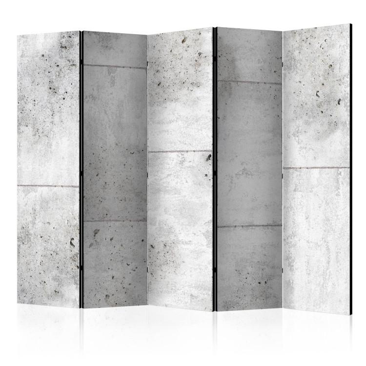 Room Divider Concretum Murum II - texture imitating urban gray concrete stairs