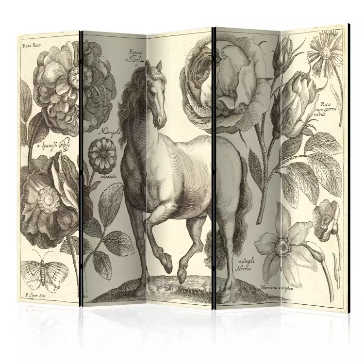 Room Divider Horse II - romantic animal and plants on a light background in retro motif