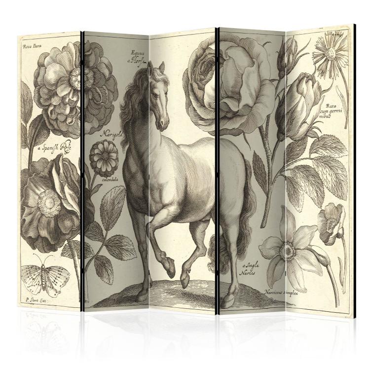 Room Divider Horse II - romantic animal and plants on a light background in retro motif