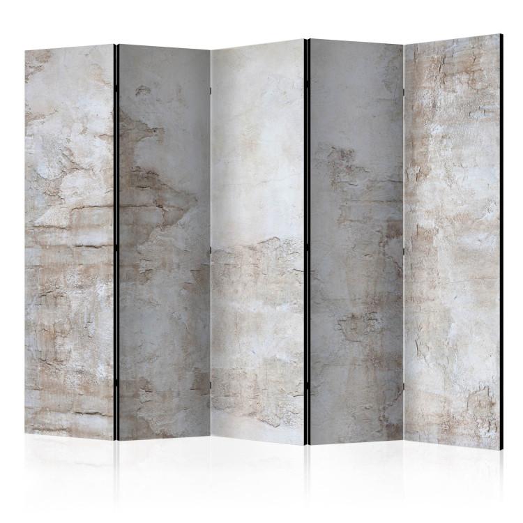Room Divider Stone History II - architectural texture of concrete and stone