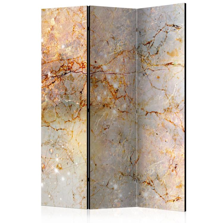 Room Divider Enchanted in Marble - luxurious marble texture with a golden accent