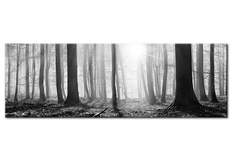 Canvas Print Black and White Forest