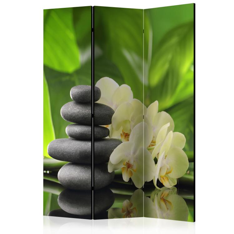 Room Divider Spa Garden - orchid flowers with oriental stones on a nature background
