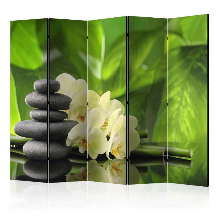 Room Divider Spa Garden II - Zen-style stones and orchid flowers on a nature background