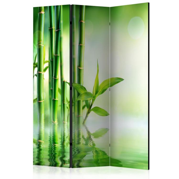 Room Divider Green Bamboo - oriental green bamboo plant in a Zen motif